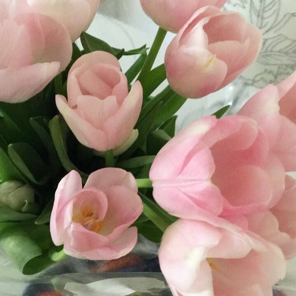 Meet your Posher, Karina